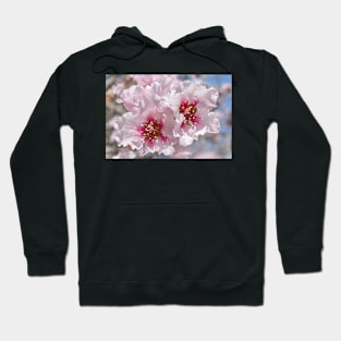 Pink Blossoms Hoodie